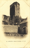 Carte postale Chaudenay le chateau