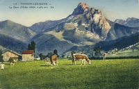 Carte postale Bernex