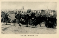 Carte postale El-Oued - Algérie