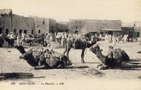 Carte postale Sidi-Okba - Algerie