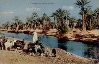 Carte postale Types - Algerie