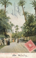 Carte postale Elche - Espagne