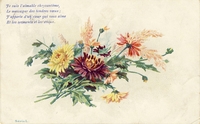 Carte postale Fleurs-Chrisanthemes - Fantaisie