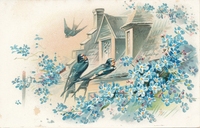 Carte postale Hirondelles - Fantaisie