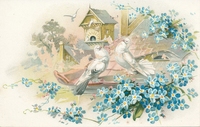 Carte postale Pigeons - Fantaisie