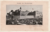Carte postale x401 - Palestine