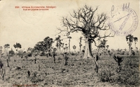 Carte postale Brousse - Sénégal