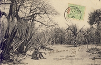 Carte postale N-Gazobil - Sénégal