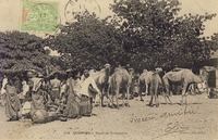 Carte postale Tivaouane - Senegal