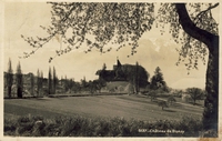 Carte postale Chateau-de-Blonay - Suisse