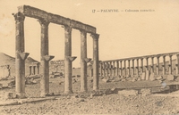 Carte postale Palmyre - Syrie