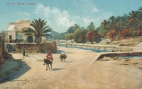 Carte postale Dans-l-Oasis - Tunisie