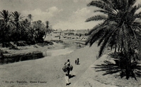 Carte postale L-Oasis - Tunisie