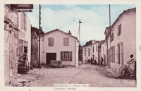 Carte postale Genouille