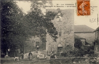 Carte postale Queyssac les vignes