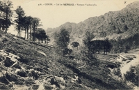 Carte postale Cagna