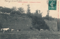 Carte postale La motte ternant