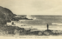 Carte postale Treveneuc