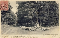 Carte postale Bagneux