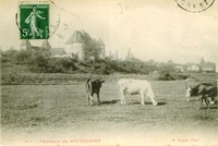 Carte postale Mutigney