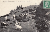 Carte postale Orgelet