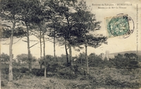 Carte postale Huberville