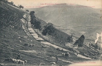 Carte postale Loudervielle