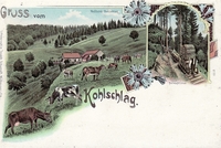Carte postale Logelheim