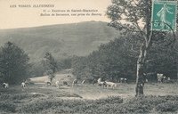 Carte postale Plancher les mines