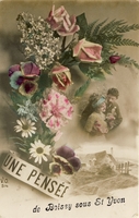 Carte postale Boissy sous saint yon