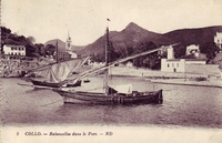 Carte postale Collo - Algérie