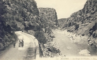 Carte postale Gorges-de-Palestro - Algérie