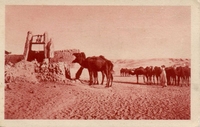 Carte postale Guerrara - Algérie