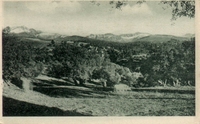 Carte postale Maillot - algérie