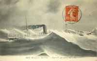Carte postale Messageries-Maritime - Algérie