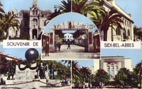 Carte postale Sidi-bel-Abbes - Algérie