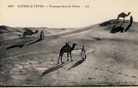 Carte postale cenes-et-Types - Algérie