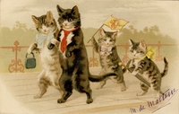 Carte postale Chats - Fantaisie