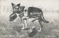 Carte postale Chien-Patriote - Fantaisie