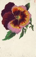 Carte postale Fleur-Pensee - Fantaisie