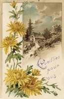 Carte postale Fleurs-Chrisantheme - Fantaisie