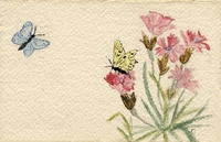 Carte postale Fleurs-Oeillets - Fantaisie