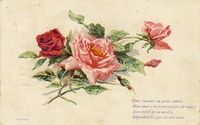 Carte postale Fleurs-Roses - Fantaisie