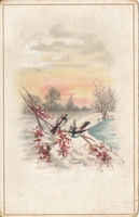 Carte postale Oiseaux - Fantaisie