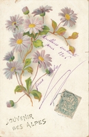 Carte postale Souvenir-des-Alpes - Fantaisie