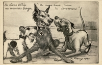 Carte postale Chien-Allies - Humour