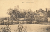 Carte postale Nahr-el-Kelb - Liban