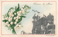 Carte postale Souvenir - Maroc