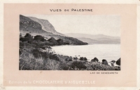 Carte postale x405 - Palestine