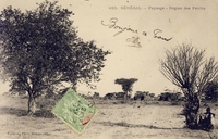 Carte postale Peulhs - Sénégal